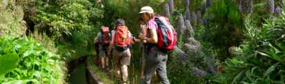 Levada-wandern-madeira-sehenswuerdigkeiten