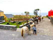 Die Patio Horse Lodge liegt am Meer auf der Azoreninsel Faial