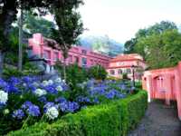 Besonders nachhaltig - die Quinta da Serra auf Madeira