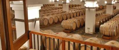 Urlaub in Alentejo Portugal: Wein und regionale Küche