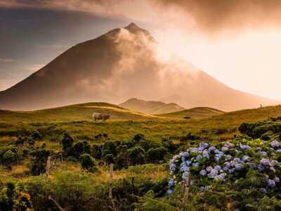 Wandern, Wale und Vulkane auf den Azoren