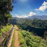 Levada-wandern-madeira2