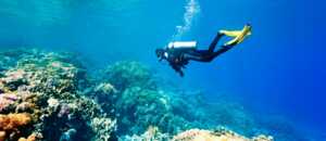 Kapverden Urlaub für Taucher - im Hotel Morabeza auf Sal
