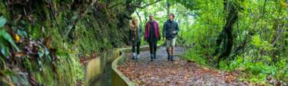 Levada-madeira-wanderweg