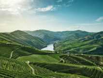 Panoramablick auf die Weinberge von Pinhão, die den Douro-Fluss umschließen