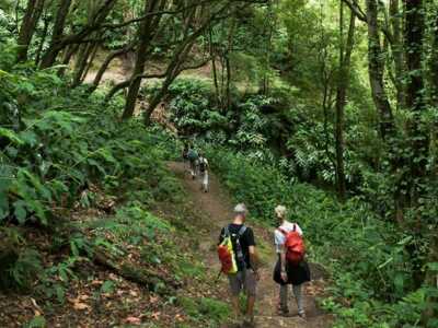 Wanderung Faial da Terra auf Sao Miguel