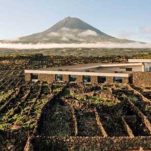 Azores-wine-company-aussen