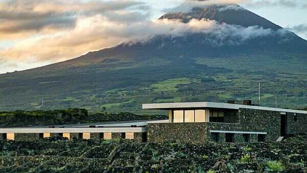 Azores-wine-company-pico