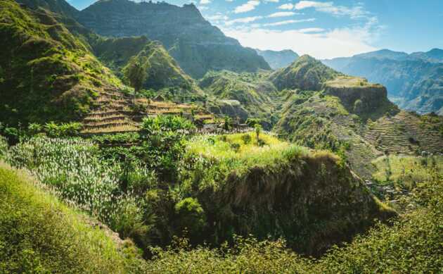 Terrassenfelder und Plantagen liegen an den alten Verbindungswegn der Kapverden-Insel Santo Antao