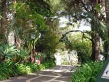 Garten des Albatroz Beach Club auf Madeira