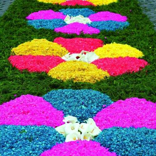 Blumenteppich auf der Azoren-Insel Sao Miguel zu Ehren des Senhor Santo Cristo dos Milagres