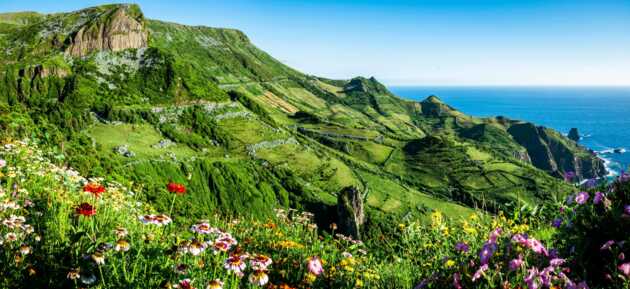 Ein Azoren Highlight in voller Blüte: Die Insel Flores verzaubert mit atemberaubenden Ausblicken.