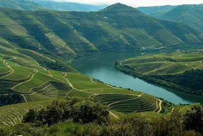 Weinterrassen bei Wandern und Wein im malerischen Dourotal.