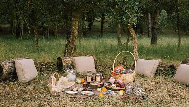 5 quinta-dos-machados-Picknick