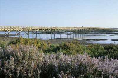 Das Naturschutzgebiet Ria Formosa an der Algarve