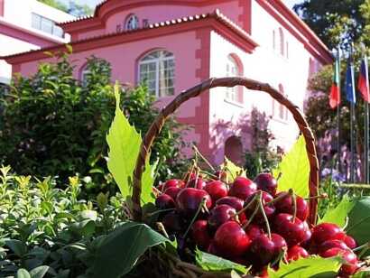 Die Quinta da Serra auf Madeira ist bekannt für ihr Öko-Restaurant