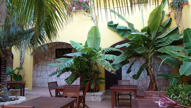 Orchidea Guesthouse Boavista 2