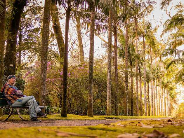 Highlight auf Sao Miguel - entdecken Sie den Terra Nostra Garden - auch bei unserer geführten Azoren Rundreise.