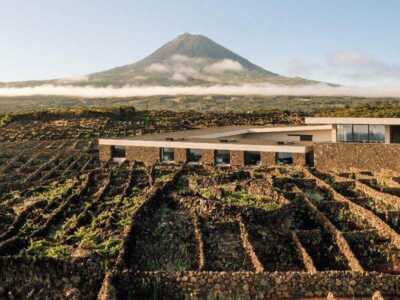 Azores Wine Company