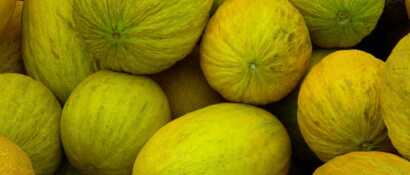 Auf Santa Maria auf den Azoren werden Melonen angebaut