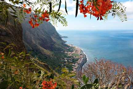 Blumen und Sonne, das ist Madeira im Winter