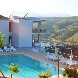 Hotel Delfim Douro Pool