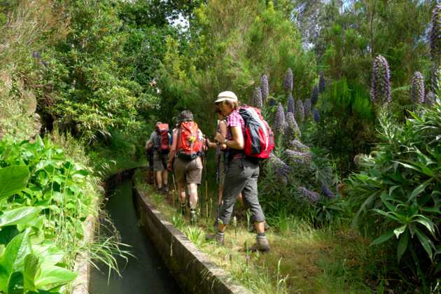 Madeira Wanderung entlang der Levada do Furado