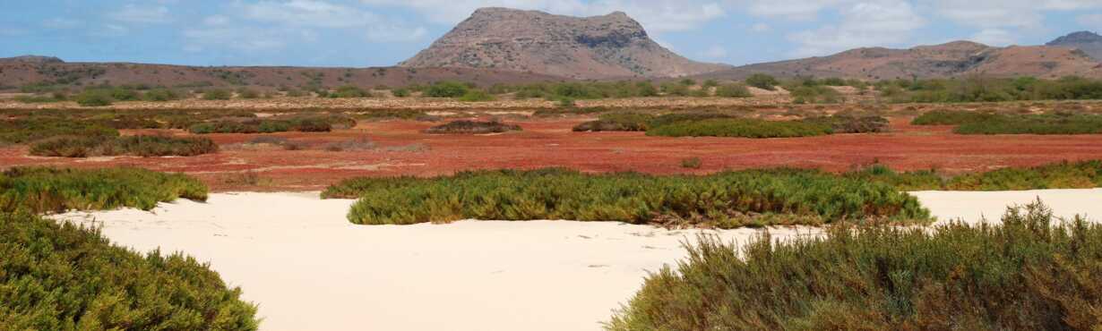 Inseltour Boa Vista im Süden