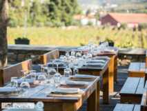 Quinta da Pacheca- Leckere Weine auf der Restaurantterrasse mit dem Blick auf die Weinfelder genießen