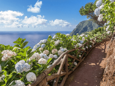 Erleben Sie das Hawaii Europas – Silvester auf den Azoren