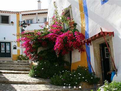 Portugal Urlaub in der Region Centro, weiße Häuser mit blauen oder gelben Rahmen und farbigen Blumen