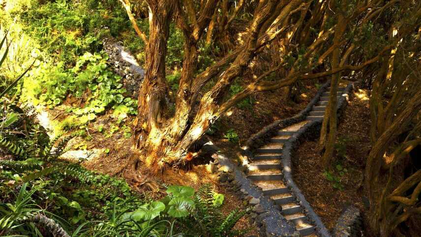 Aldeia-da-fonte-banneraldeia-da-fonte-sea-trail2