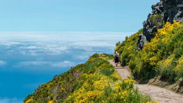 Wanderweg Madeira über den Wolken