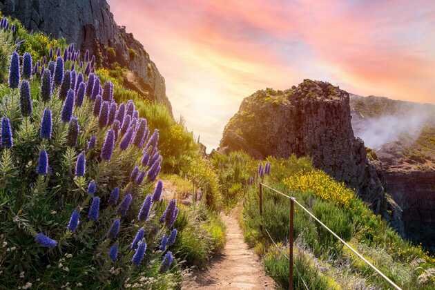 Blumengesäumte Wanderwege durch die Bergwelt von Madeira