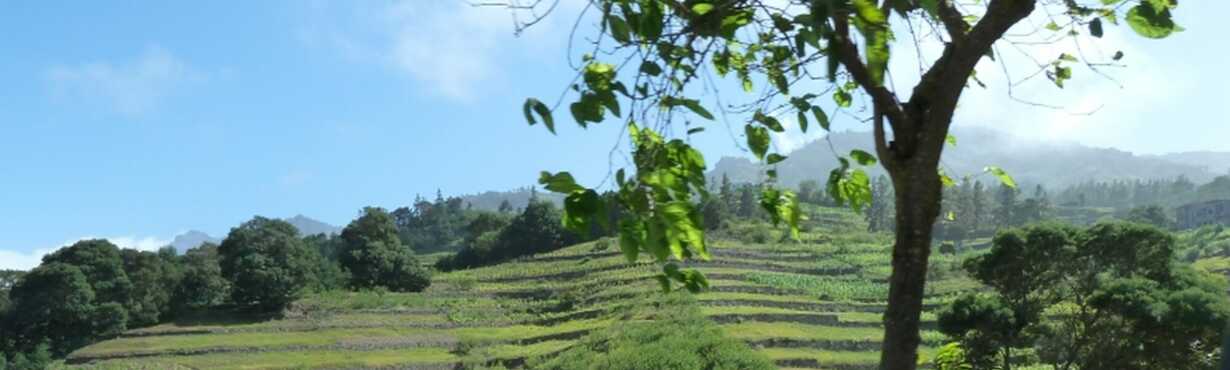 Geführte Wanderungen – Santo Antao  Kapverden- Bild 2