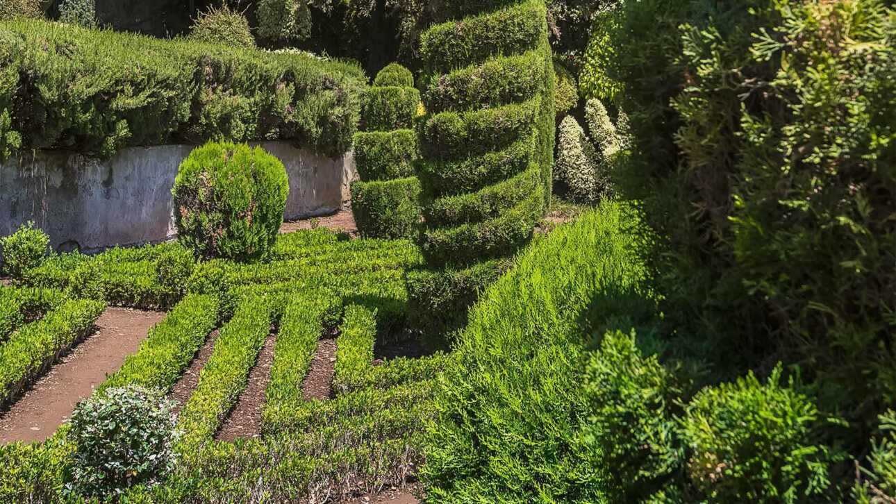 Sehenswert: Die Topiary-Ausstellung im Botanischen Garten in Funchal