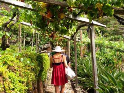 Sommerträume werden wahr:  in den Quintas da Madeira