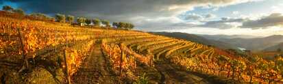 Wein-wandern-douro-tal