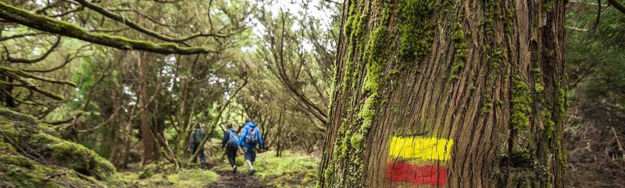 Wanderung Misterios Negros auf Terceira