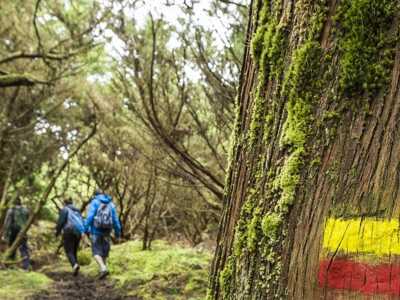 Wanderung Misterios Negros auf Terceira