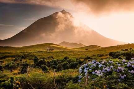 Urlaub auf der Azoren-Insel Pico - dieses Eiland im Atlantik ist bekannt für Vulkane und Wale. Der Vulkangipfel Pico zieht Besucher in seinen Bann.