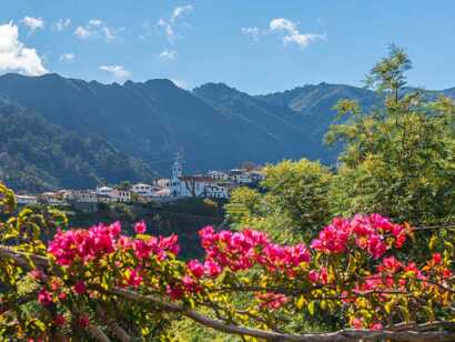 Madeira-sao-vicente