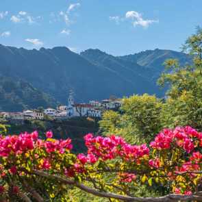 Madeira-sao-vicente