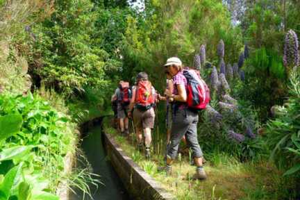 Madeira Wandern an der Forellenlevada