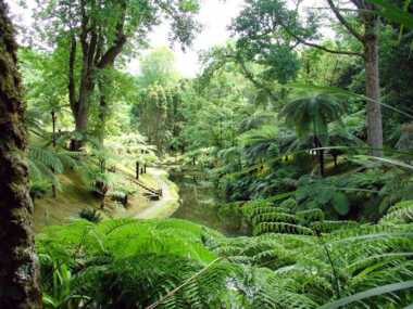 Terra Nostra Park in Furnas auf den Azoren