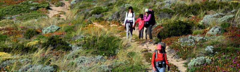 Felsküste Rota Vicentina