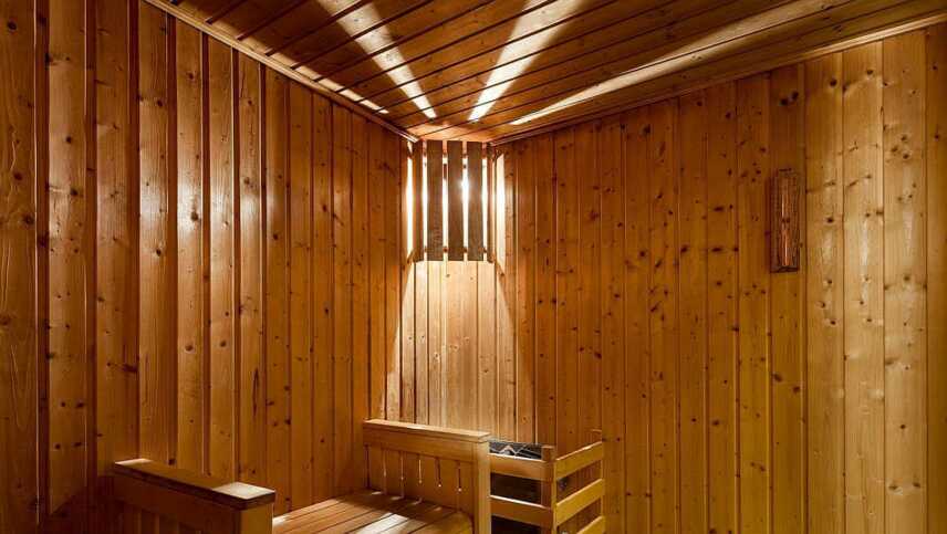 Neat-sauna-wide