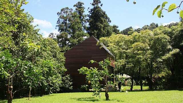 Quinta da Mo Garten mit Bungalow