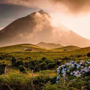 Azoren-insel-pico