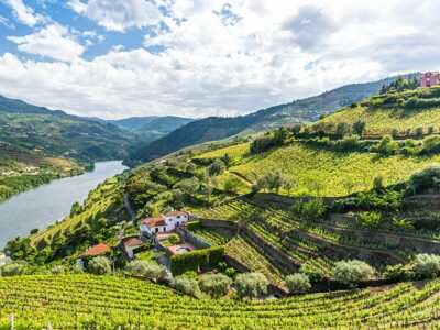 Den Norden Portugals genießen - Wein und weitere Köstlichkeiten
